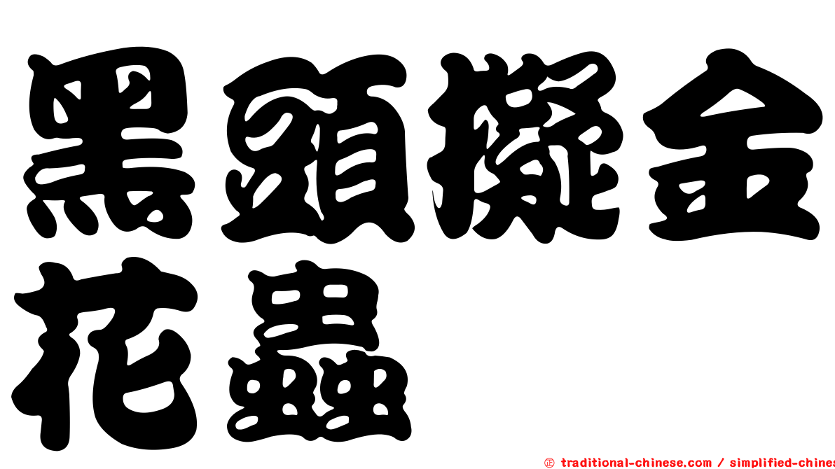 黑頭擬金花蟲