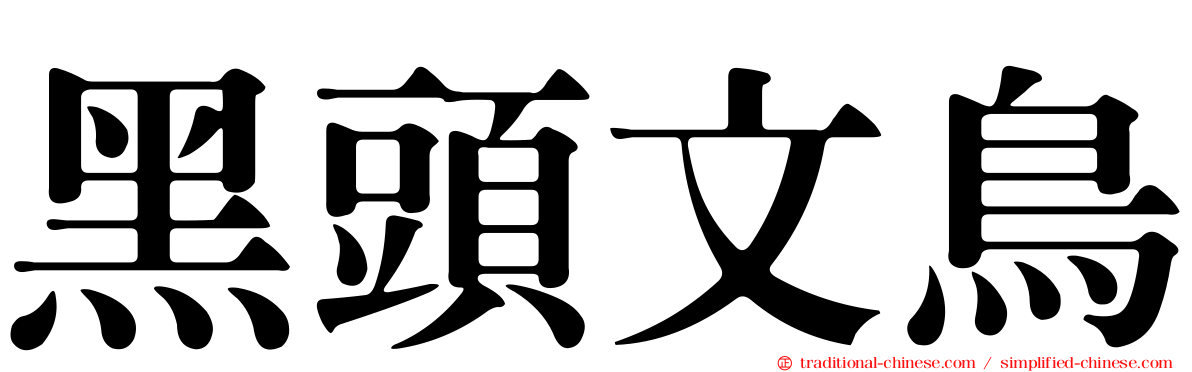 黑頭文鳥
