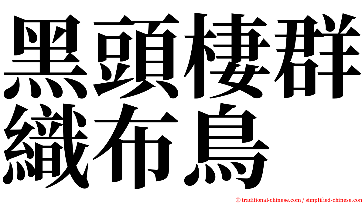 黑頭棲群織布鳥 serif font