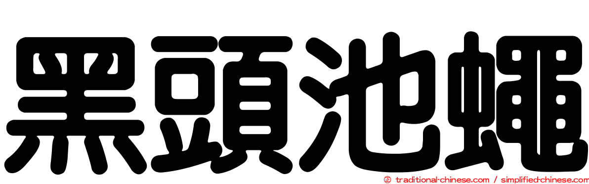 黑頭池蠅