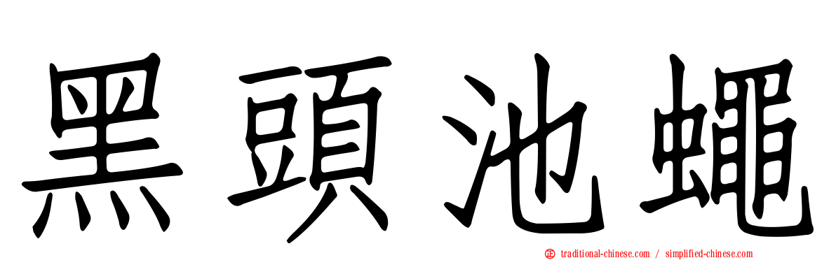 黑頭池蠅