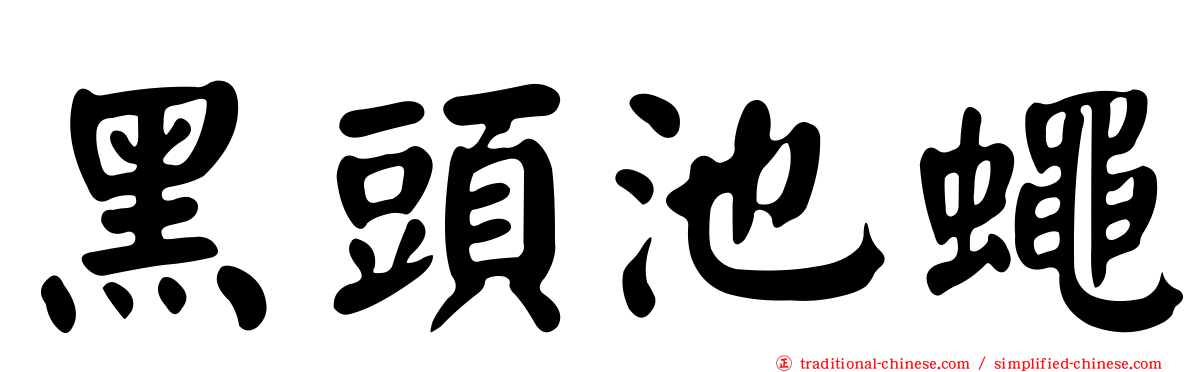 黑頭池蠅