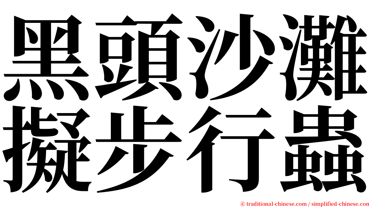 黑頭沙灘擬步行蟲 serif font
