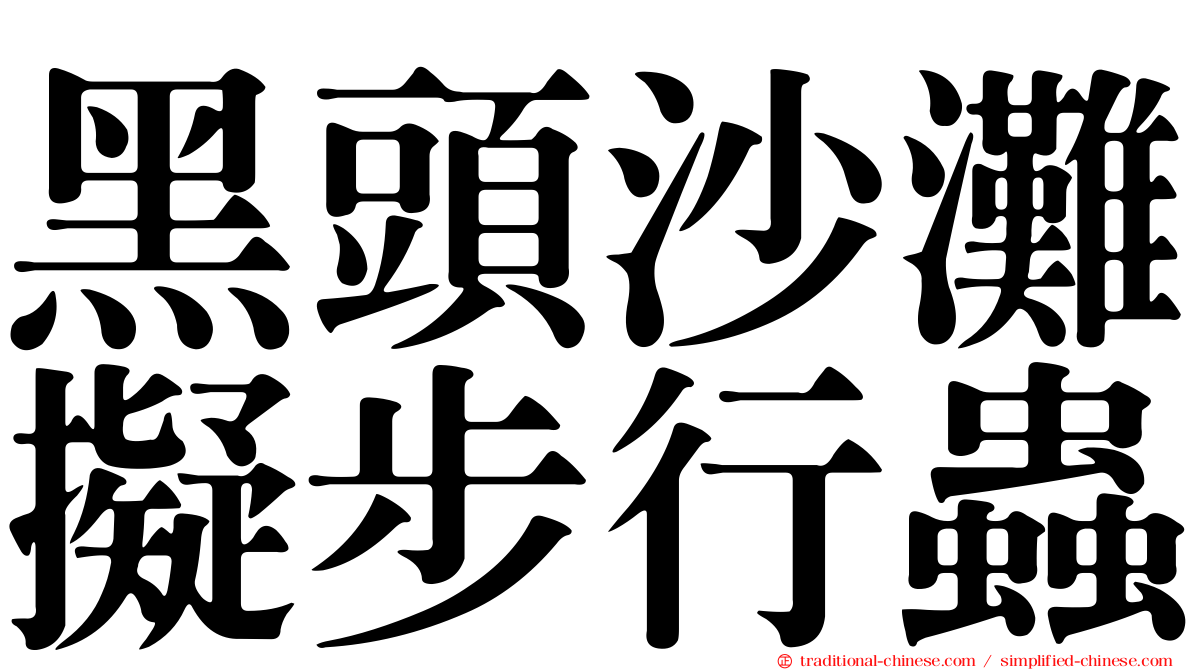 黑頭沙灘擬步行蟲