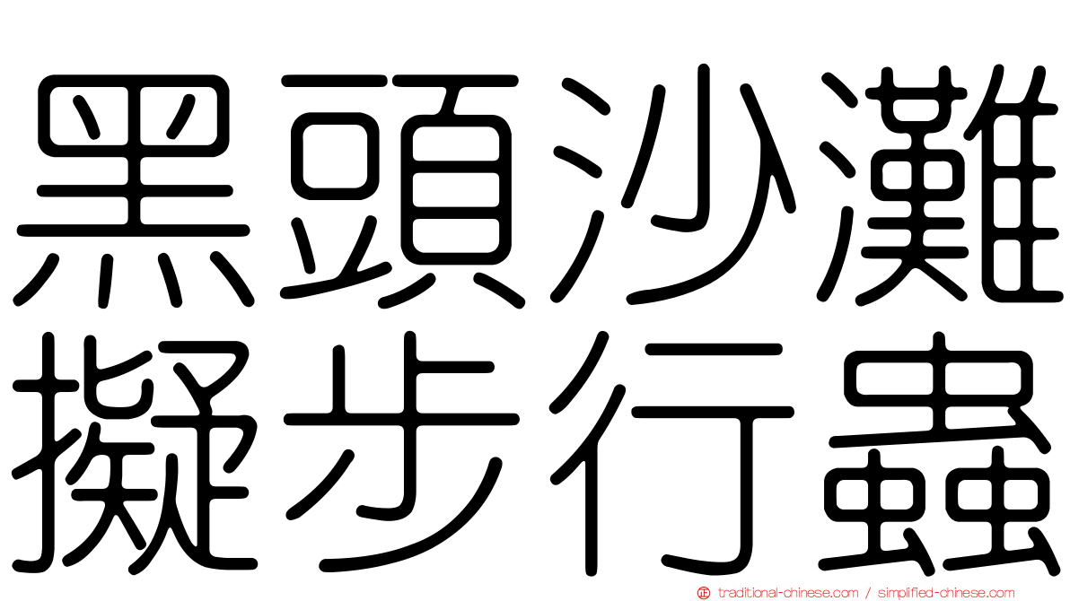 黑頭沙灘擬步行蟲
