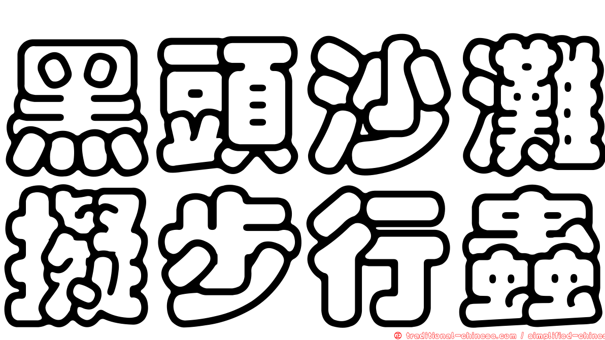 黑頭沙灘擬步行蟲