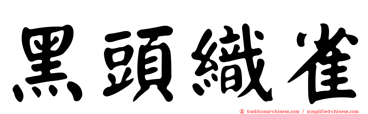 黑頭織雀