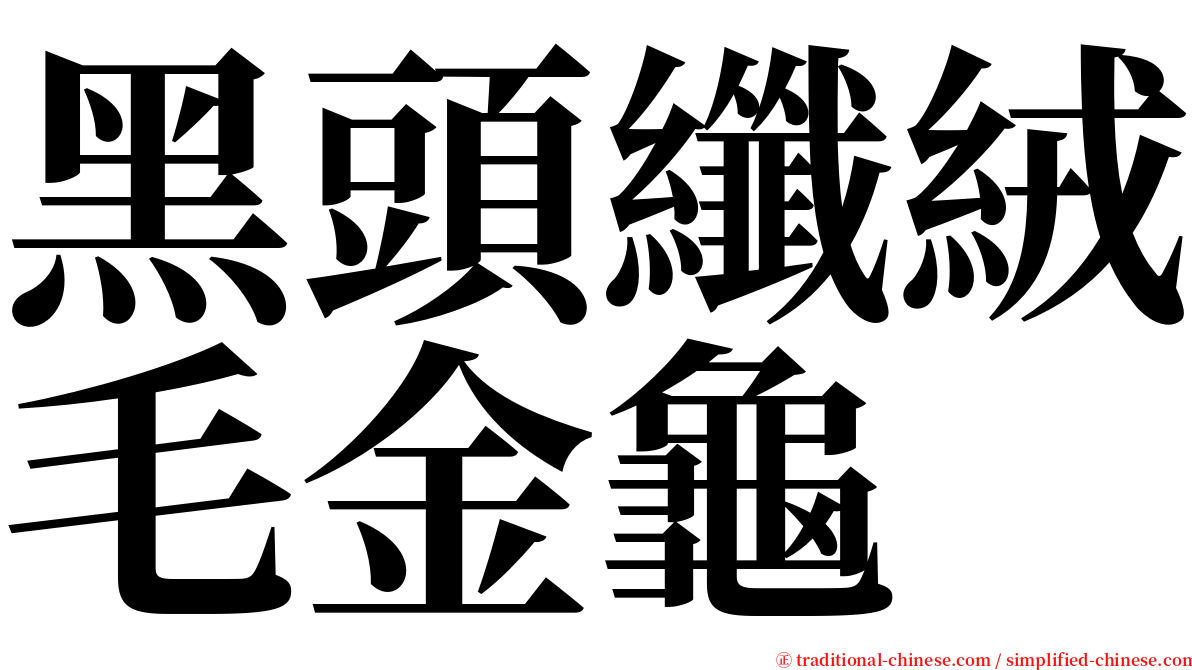 黑頭纖絨毛金龜 serif font