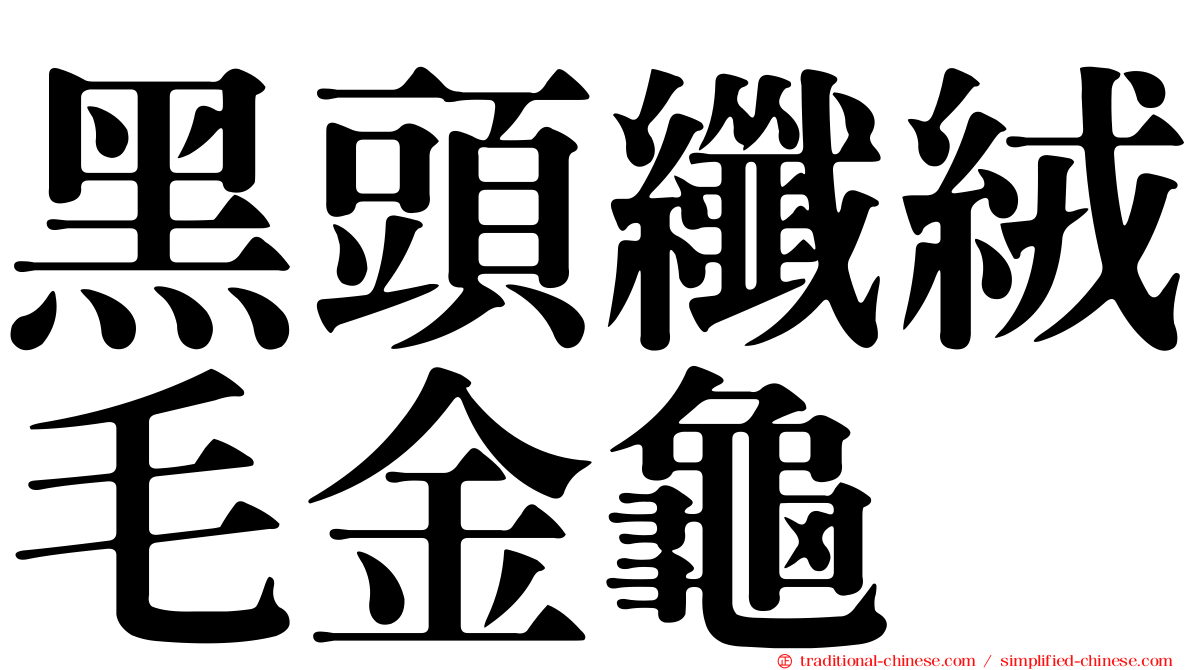 黑頭纖絨毛金龜
