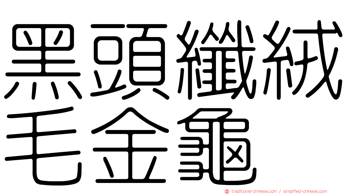 黑頭纖絨毛金龜