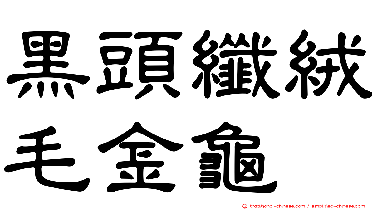 黑頭纖絨毛金龜