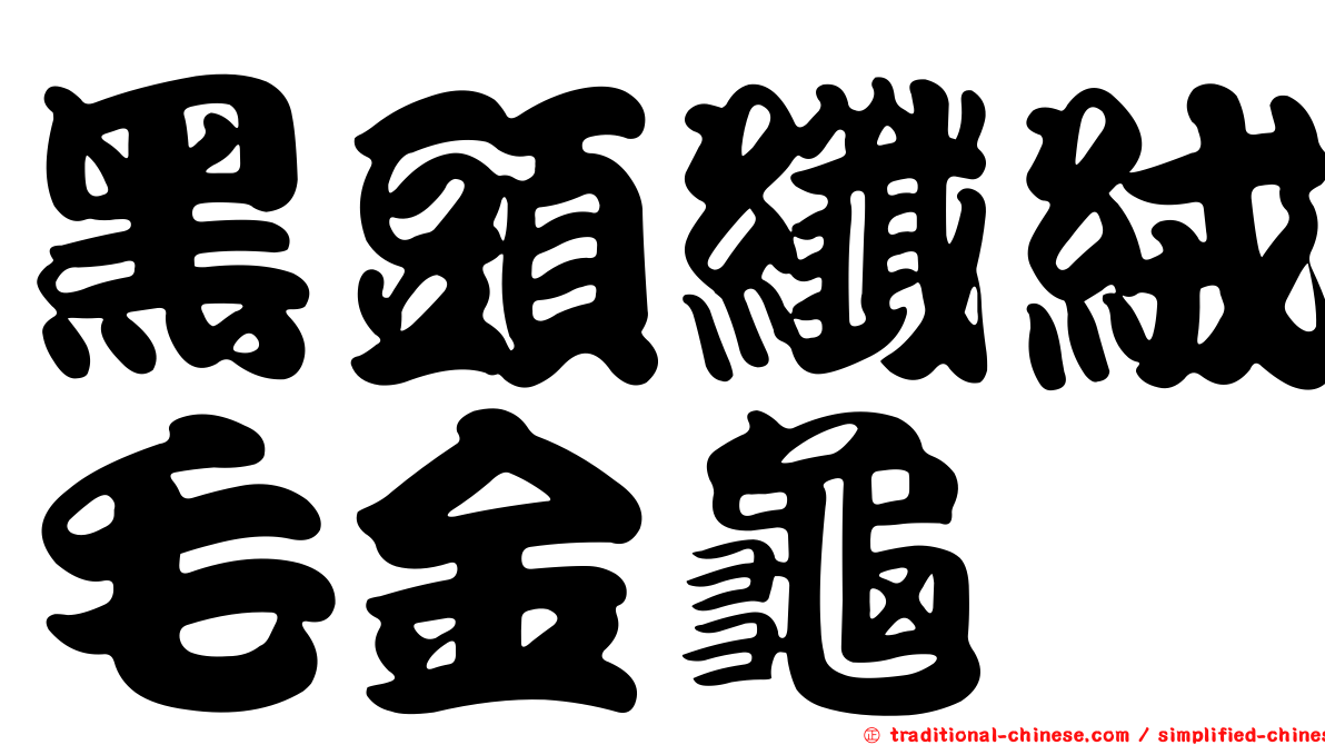 黑頭纖絨毛金龜