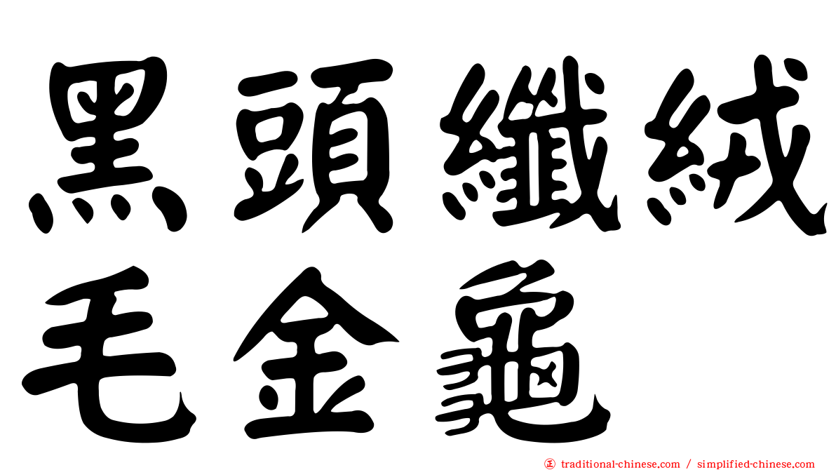 黑頭纖絨毛金龜