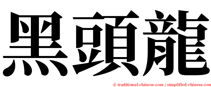 黑頭龍 serif font