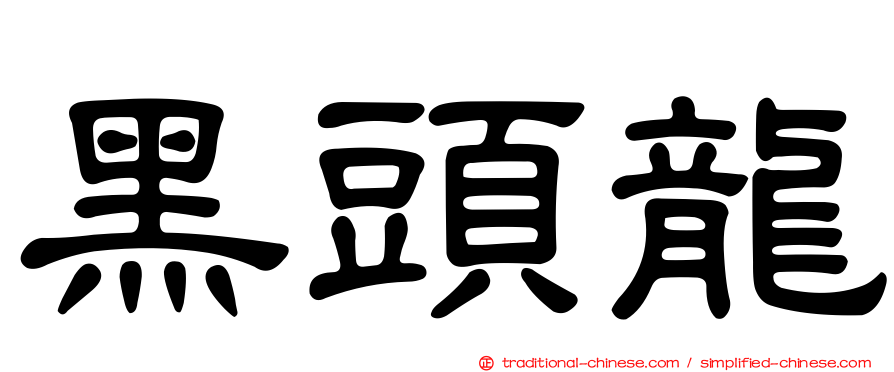 黑頭龍