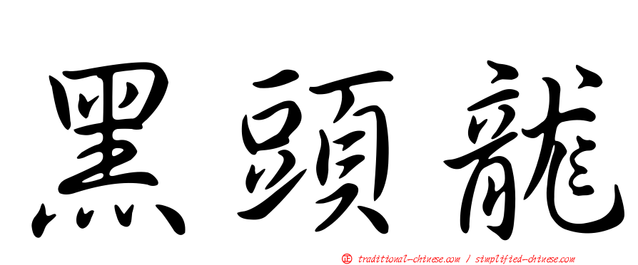 黑頭龍