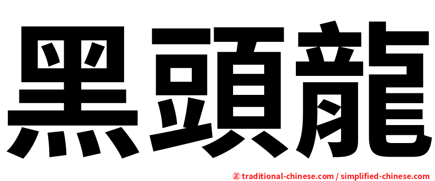 黑頭龍