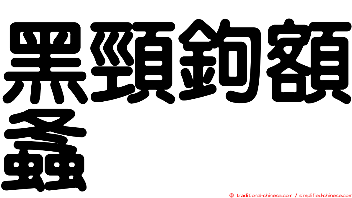 黑頸鉤額螽