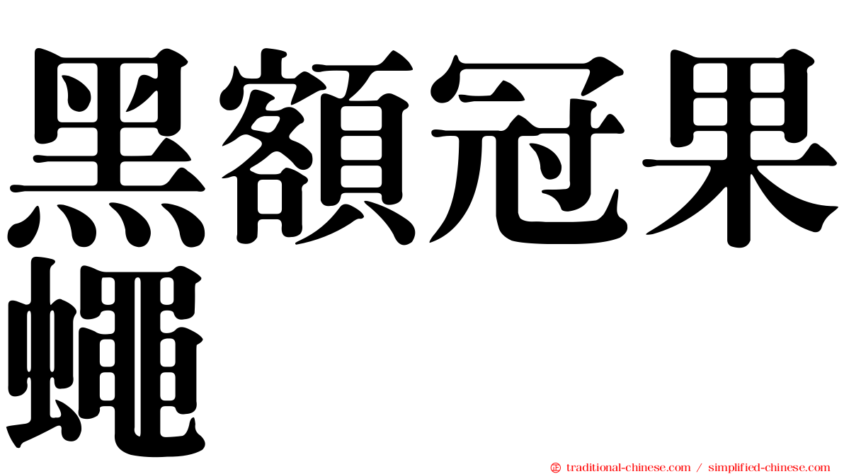 黑額冠果蠅