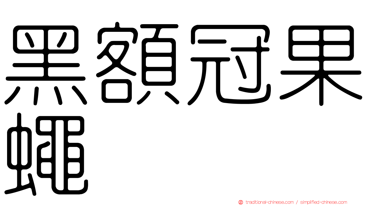 黑額冠果蠅