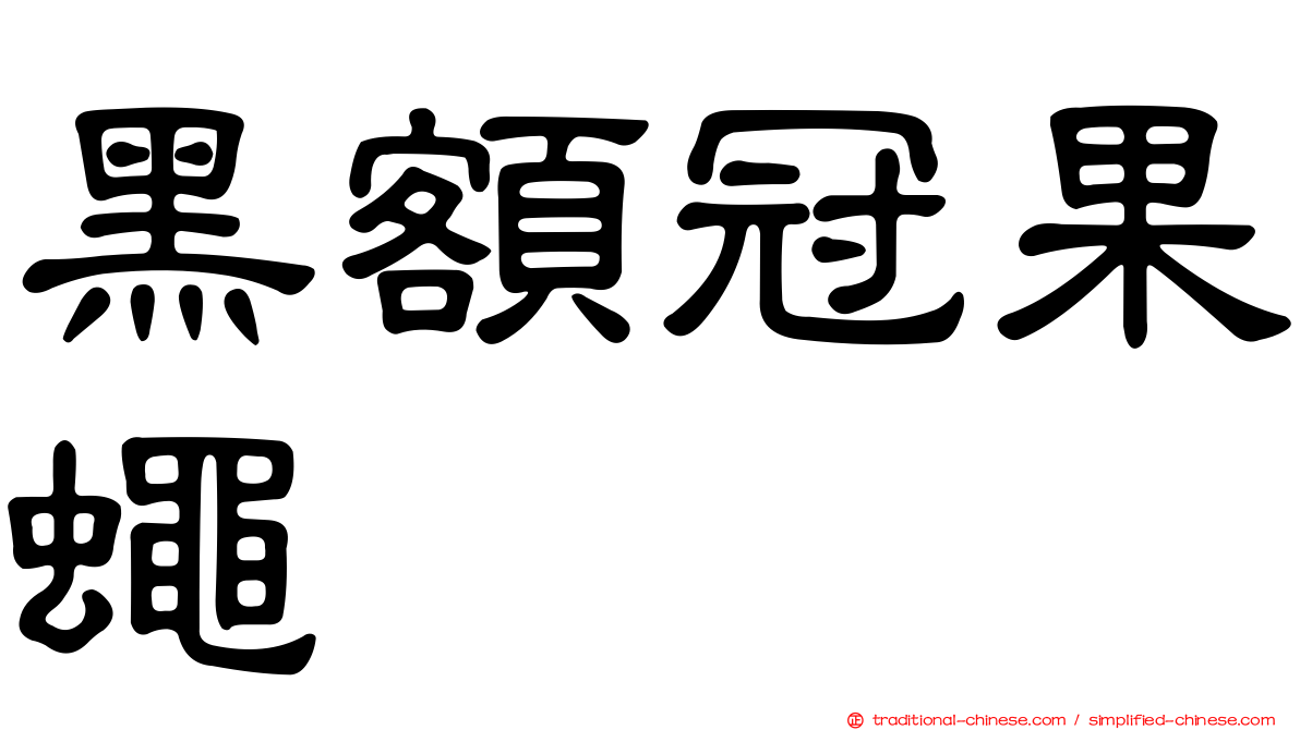 黑額冠果蠅