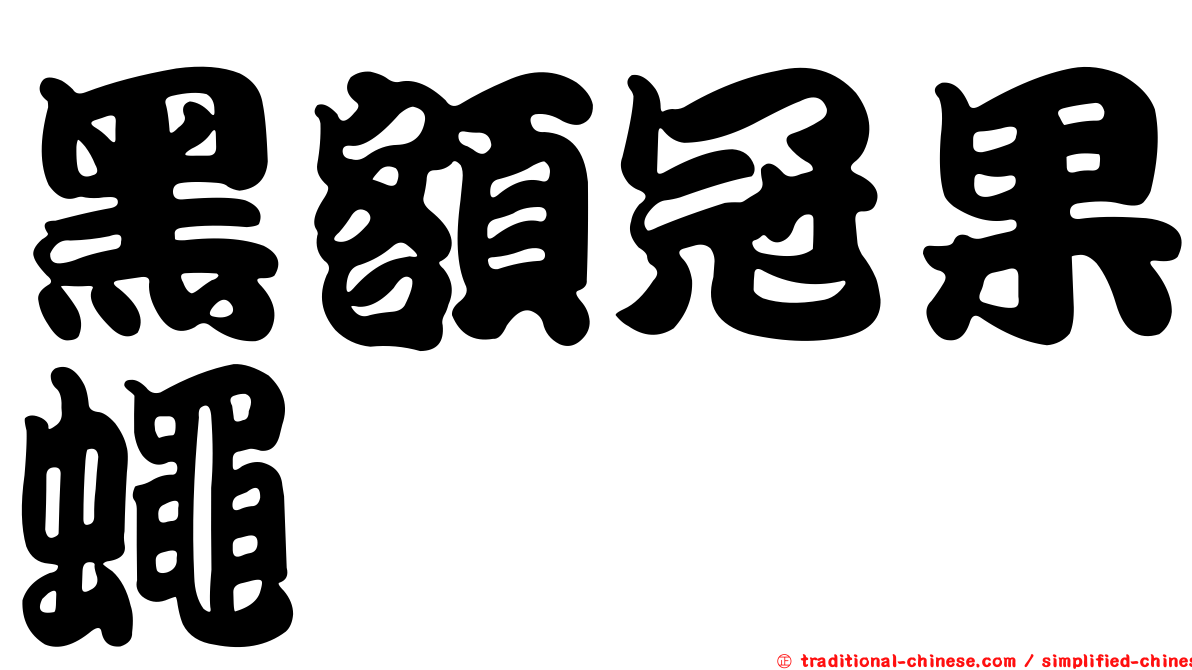 黑額冠果蠅