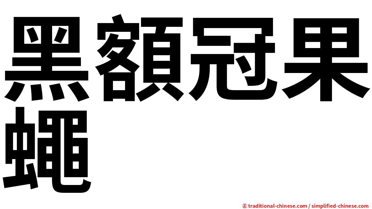 黑額冠果蠅