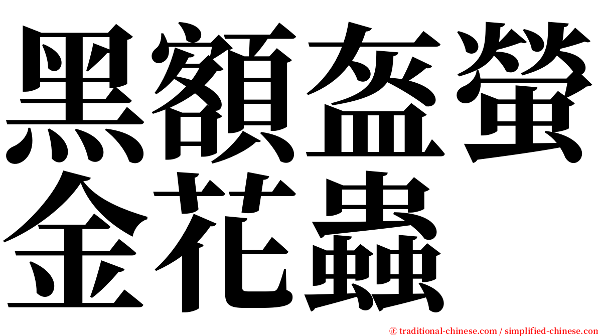 黑額盔螢金花蟲 serif font