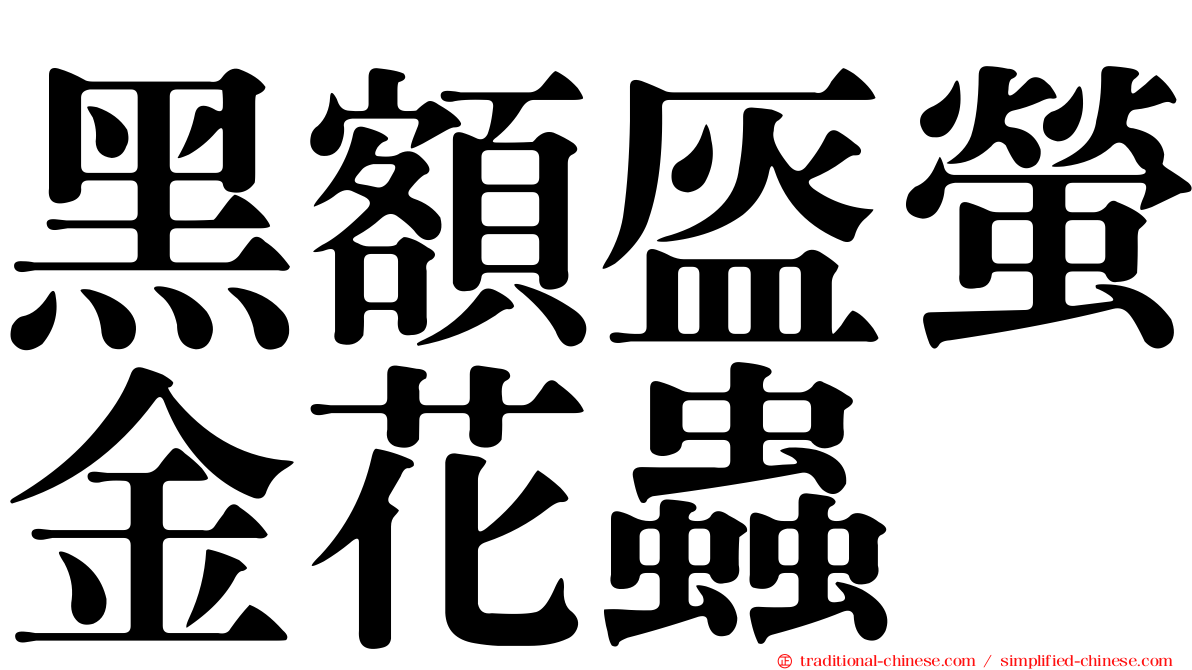 黑額盔螢金花蟲