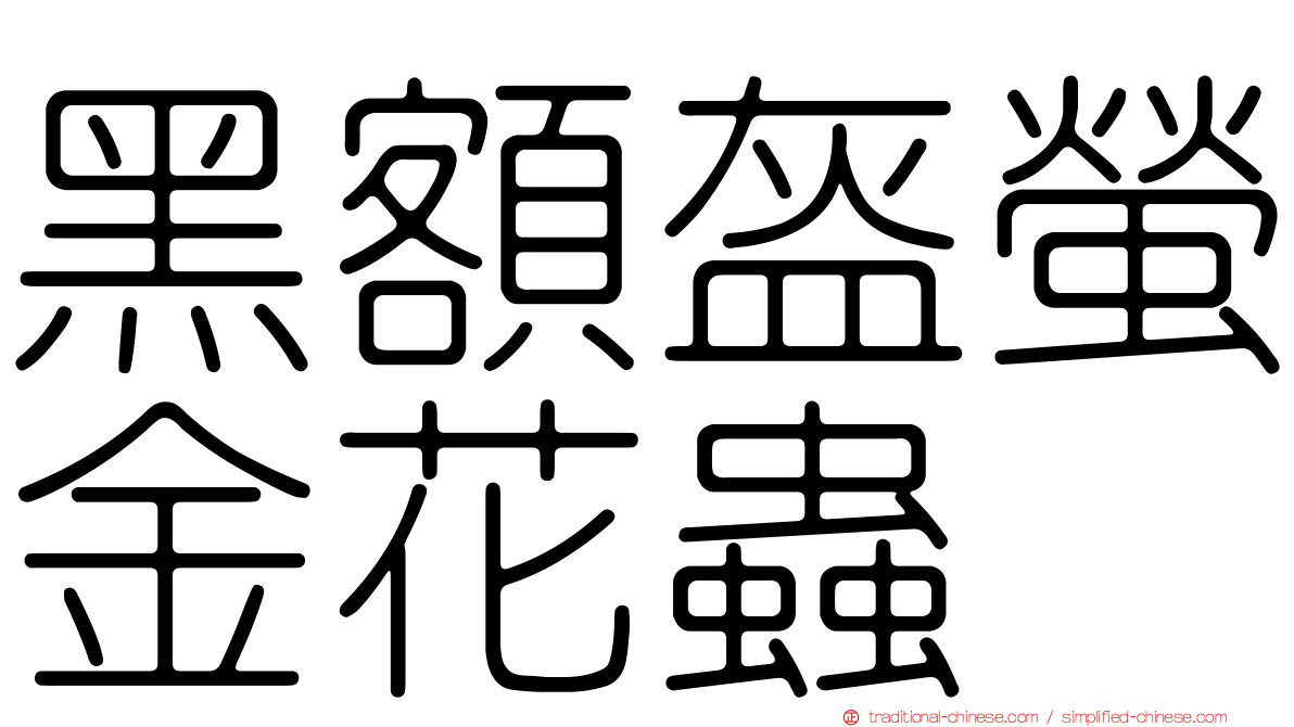 黑額盔螢金花蟲