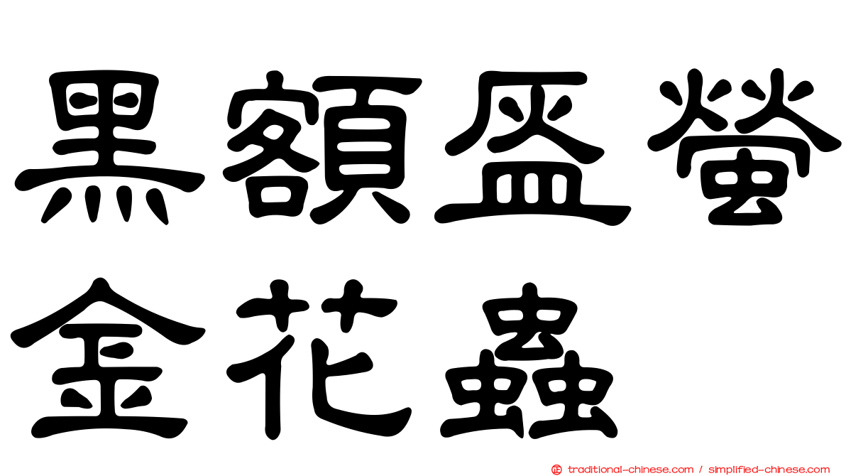 黑額盔螢金花蟲