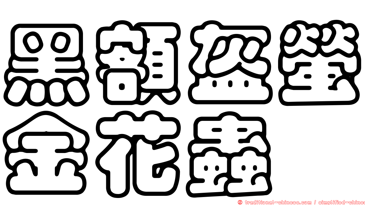 黑額盔螢金花蟲