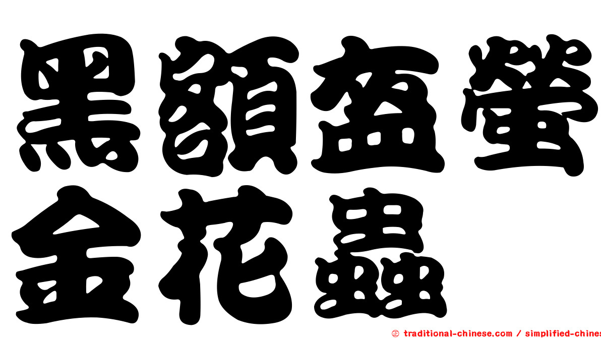 黑額盔螢金花蟲