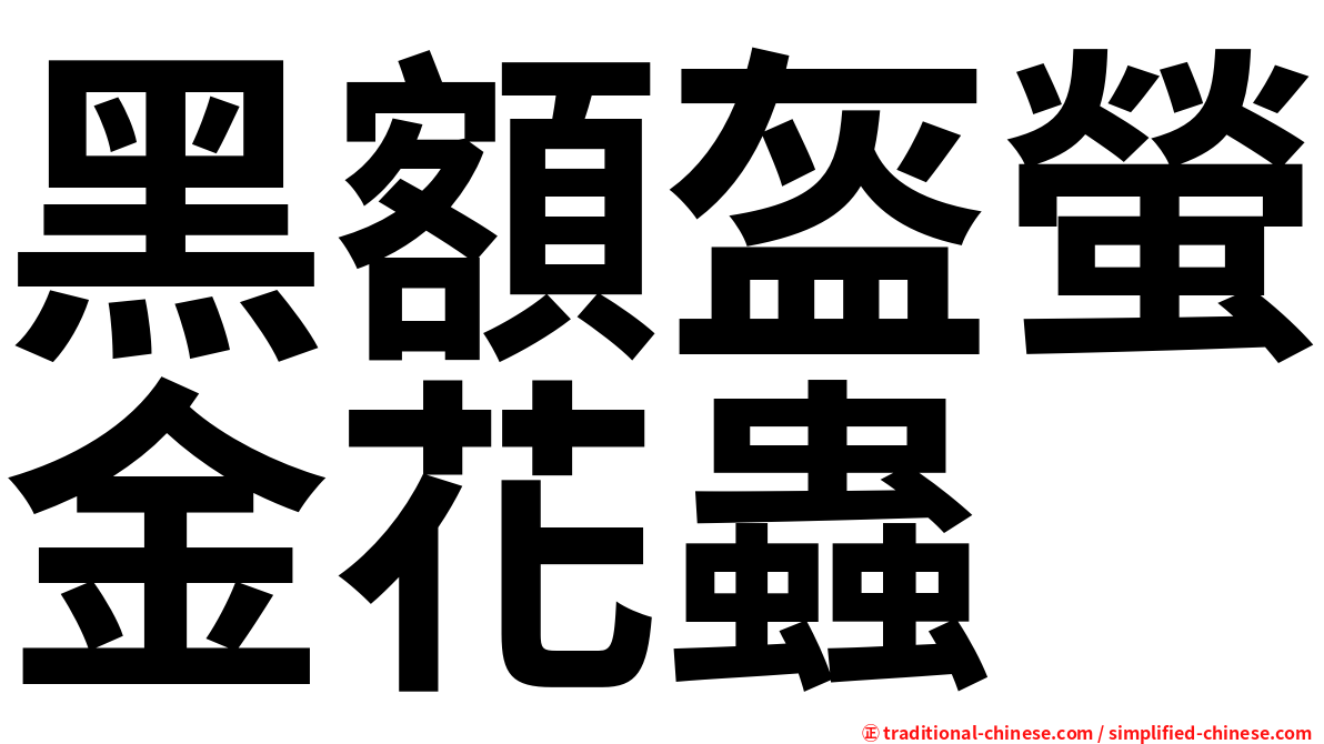 黑額盔螢金花蟲