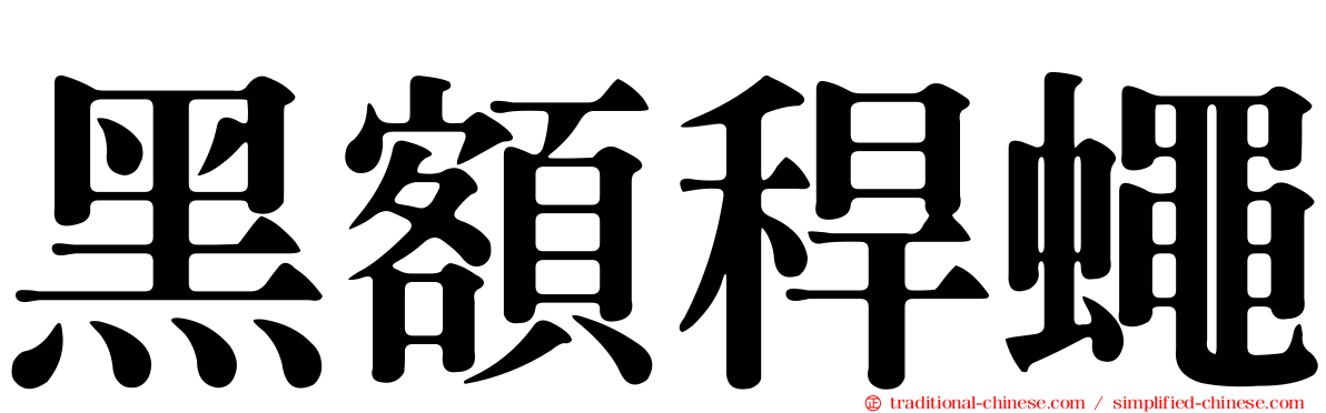 黑額稈蠅
