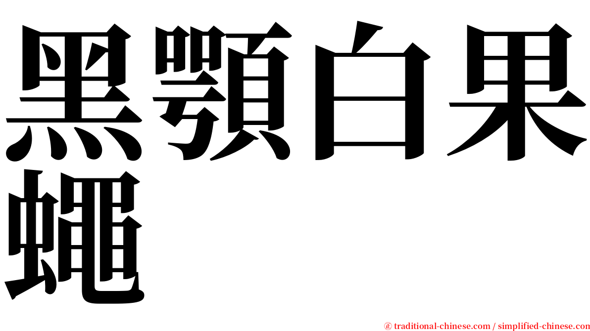 黑顎白果蠅 serif font