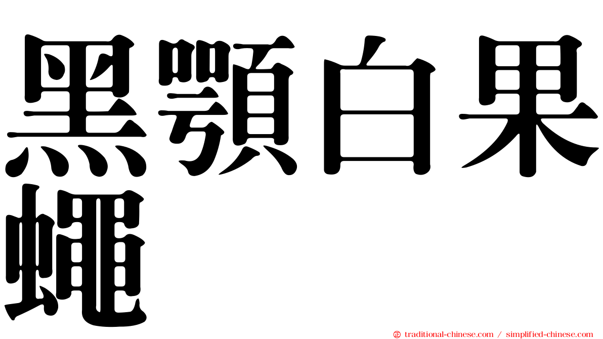 黑顎白果蠅