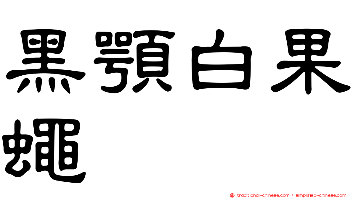 黑顎白果蠅