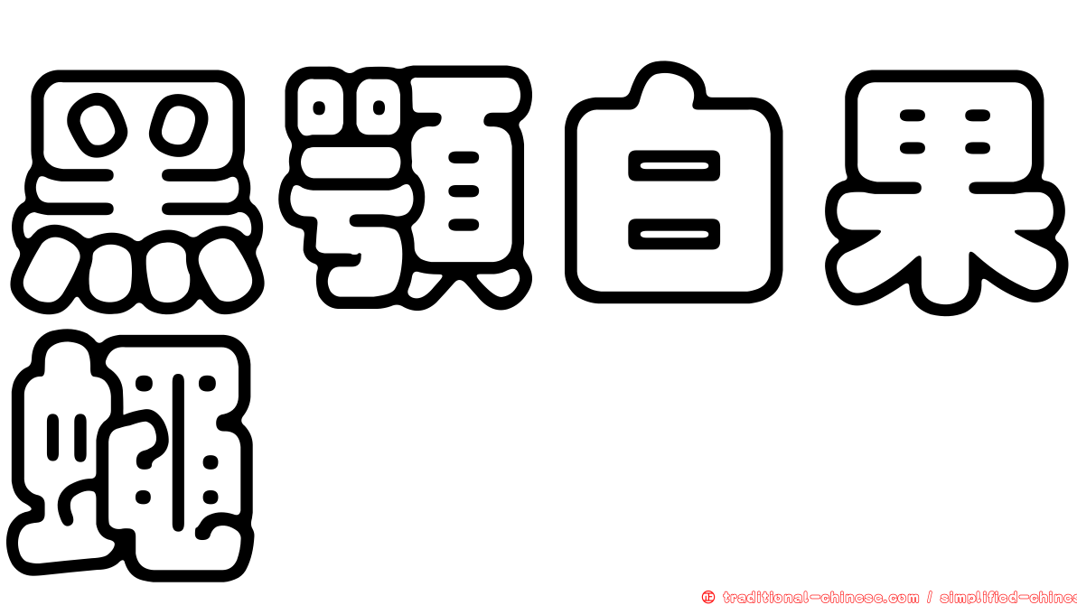 黑顎白果蠅