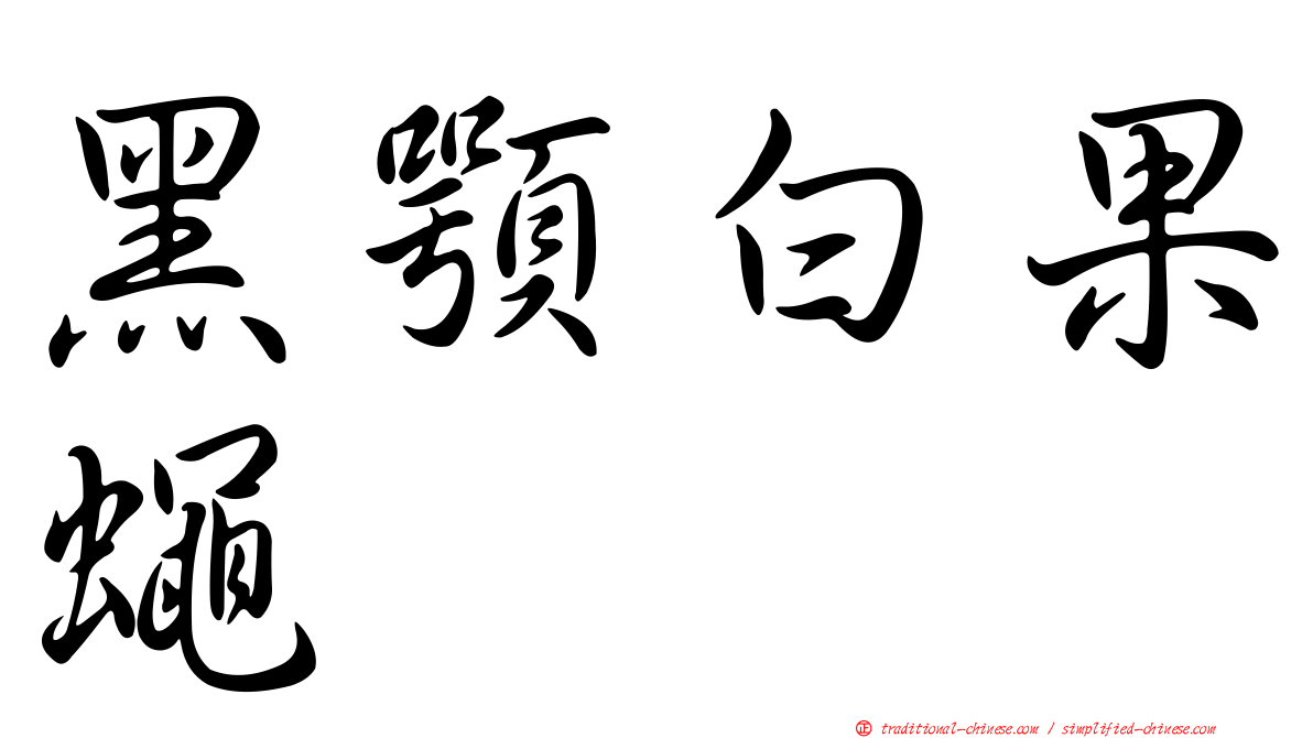 黑顎白果蠅