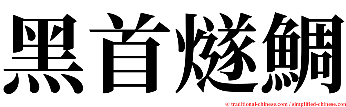 黑首燧鯛 serif font
