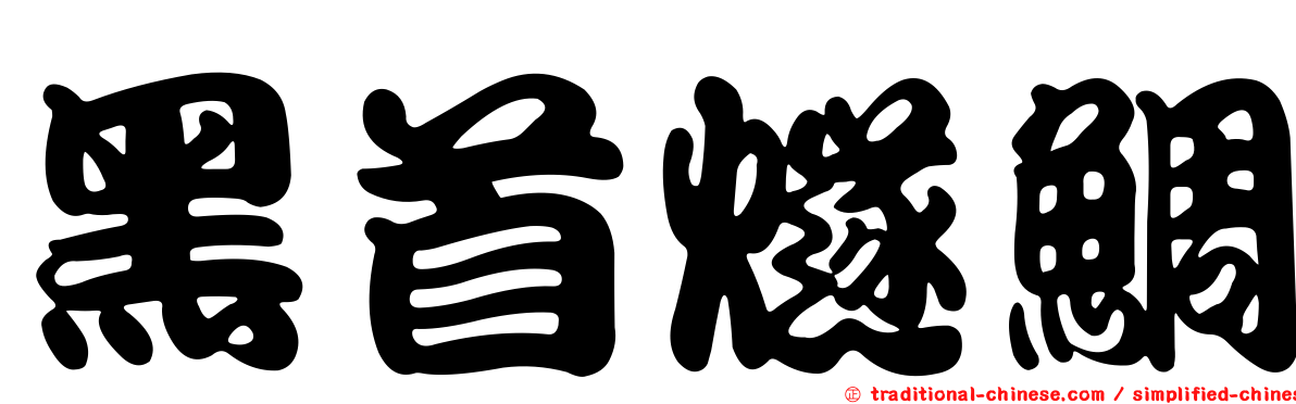 黑首燧鯛