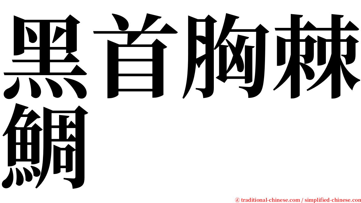 黑首胸棘鯛 serif font