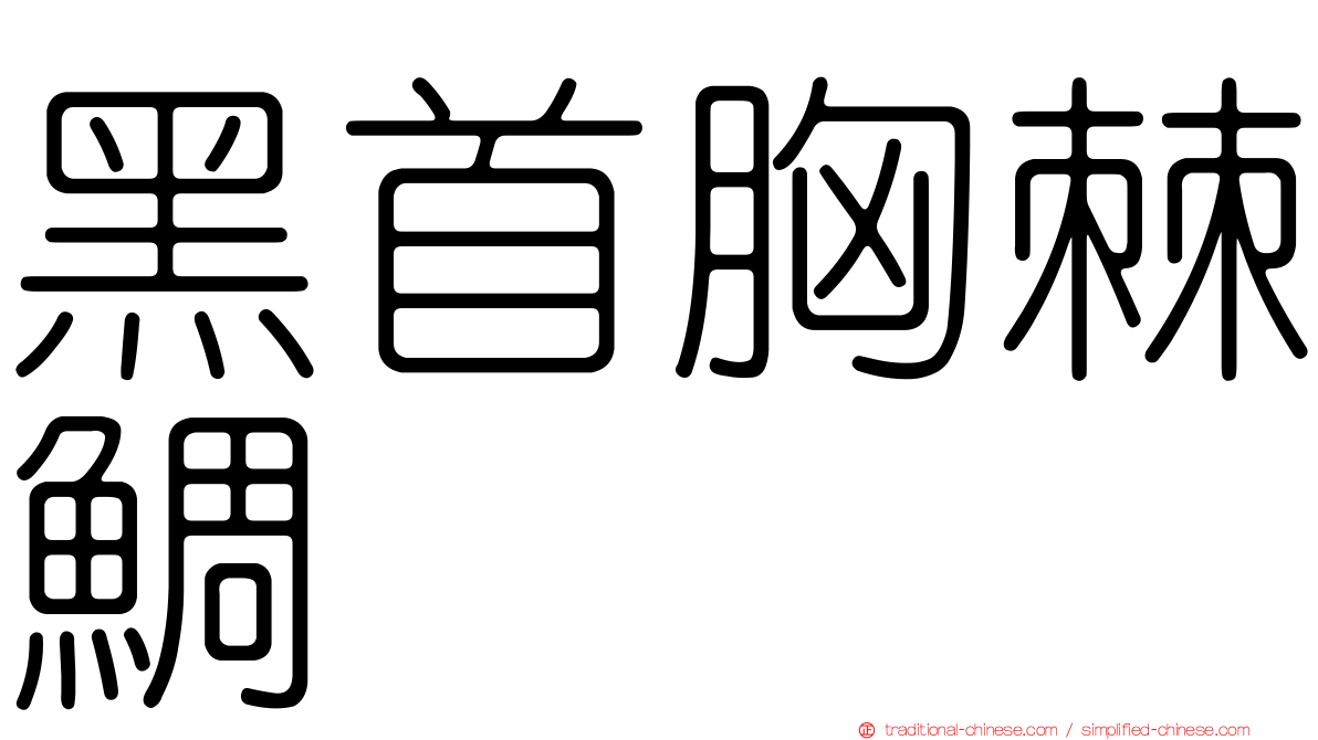 黑首胸棘鯛