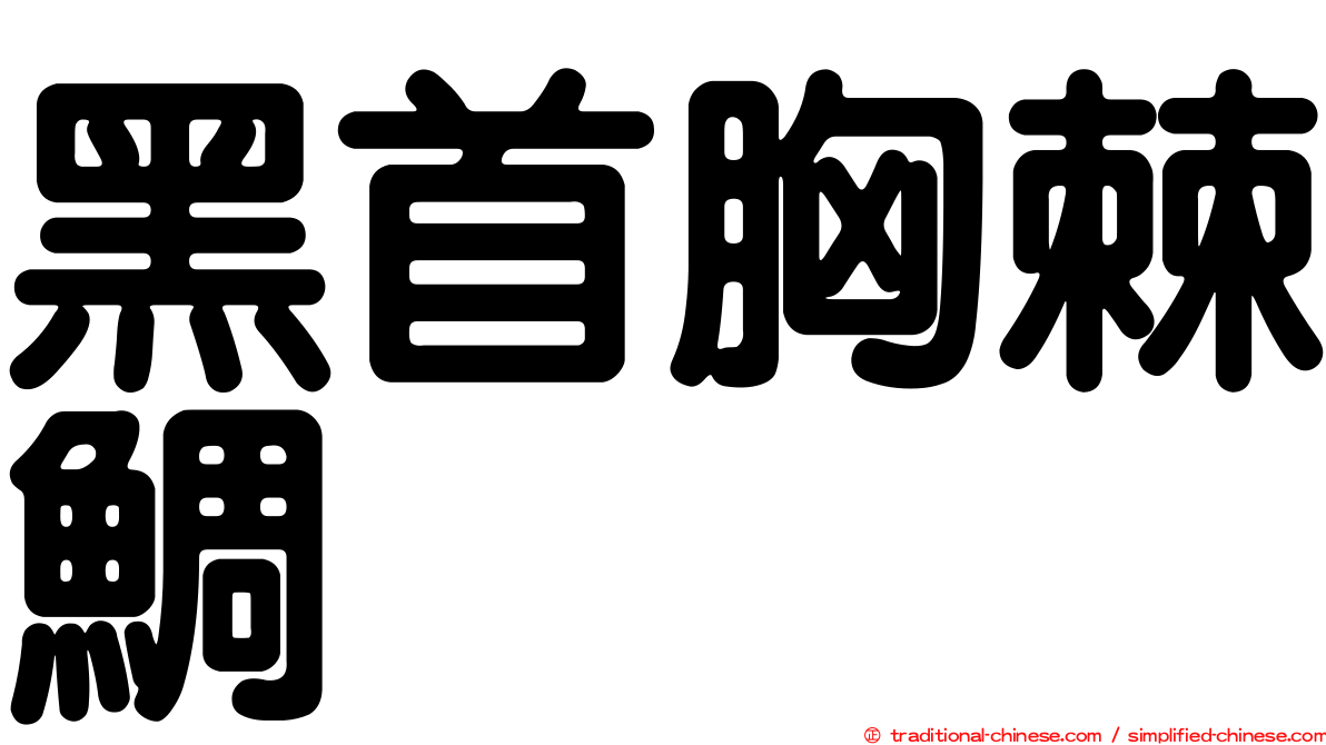 黑首胸棘鯛