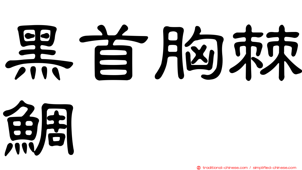黑首胸棘鯛