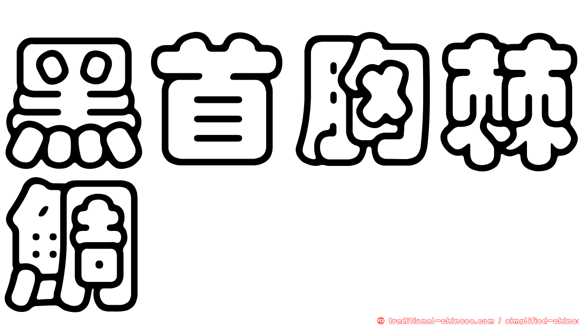 黑首胸棘鯛