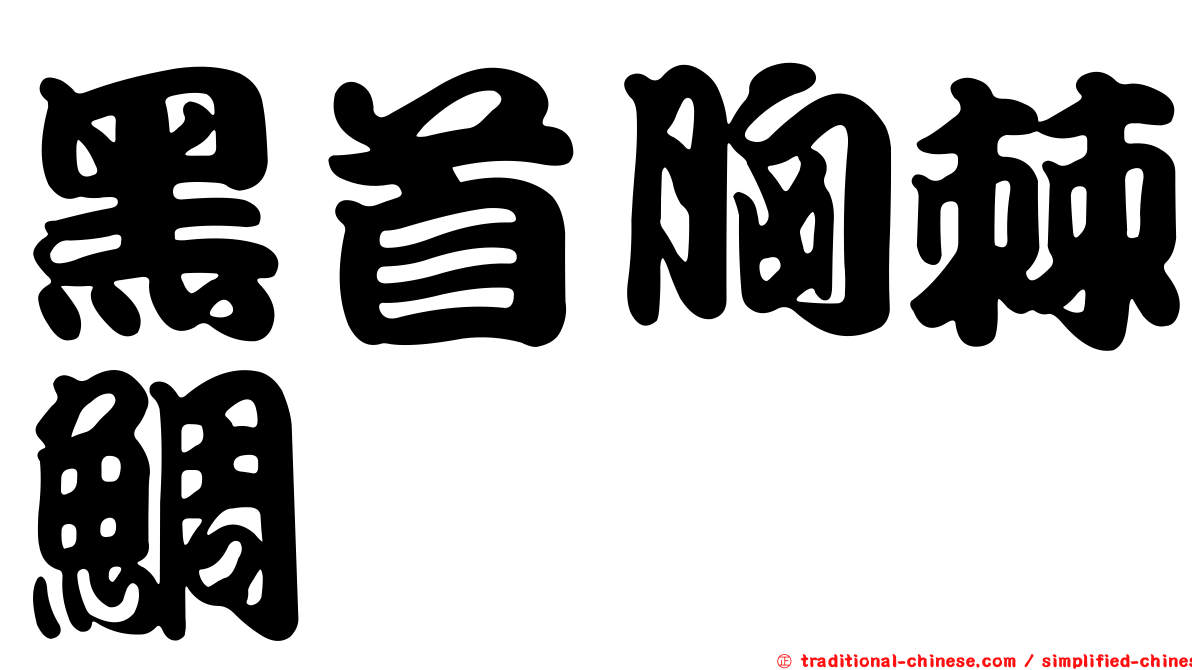 黑首胸棘鯛