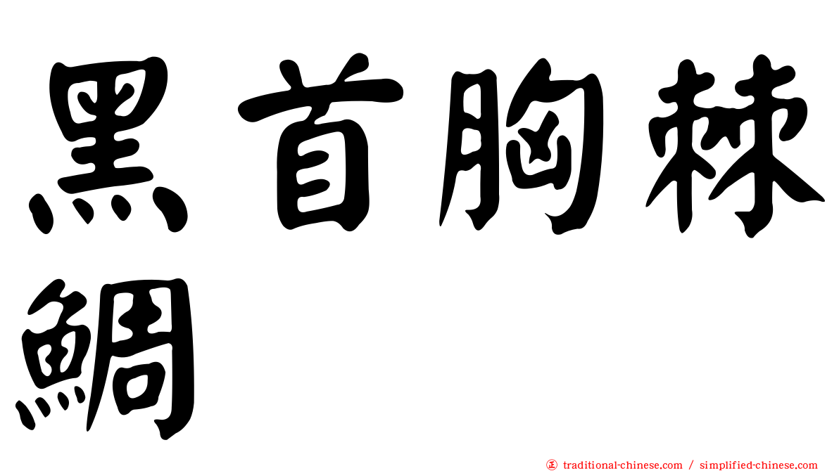 黑首胸棘鯛