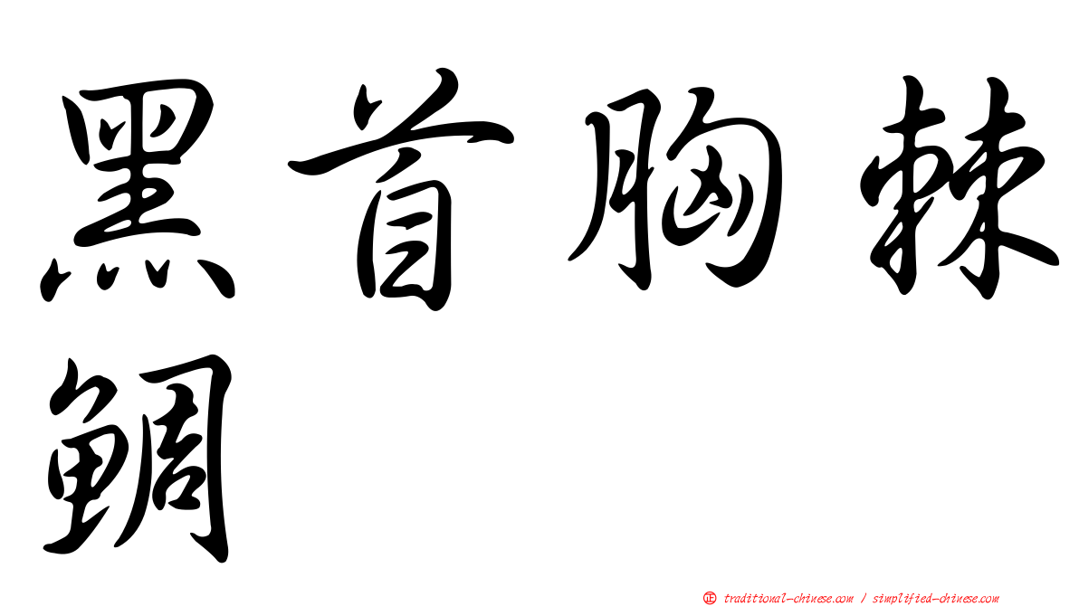 黑首胸棘鯛